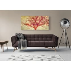Wall art print and canvas. Alessio Aprile, Coral Tree