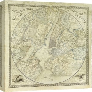 Cuadro mapamundi en canvas. Twelve Miles around NY Map, 1849