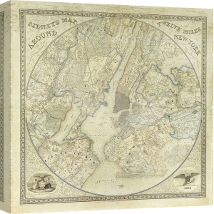 Quadro, stampa su tela. Twelve Miles around NY Map, 1849