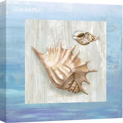 Wall art print and canvas. Ted Broome, From the sea III