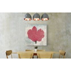 Wall art print and canvas. Ted Broome, Fan coral