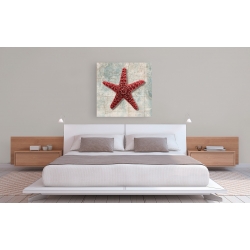 Wall art print and canvas. Ted Broome, Starfish