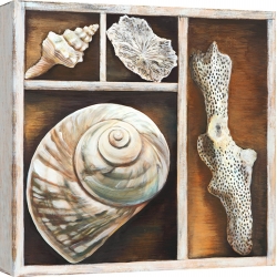 Wall art print and canvas. Ted Broome, From the ocean IV