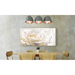 Wall art print and canvas. Jenny Thomlinson, White on White