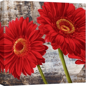 Tableau sur toile. Fleurs modernes, Gerberas rouges I