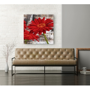 Wall art print and canvas. Jenny Thomlinson, Red Gerberas II