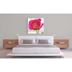 Wall art print and canvas. Jenny Thomlinson, Spring Roses II