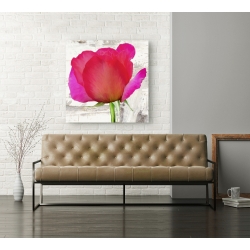 Wall art print and canvas. Jenny Thomlinson, Spring Roses II