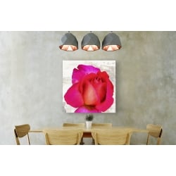 Wall art print and canvas. Jenny Thomlinson, Spring Roses III