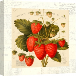 Wall art print and canvas. Remy Dellal, Strawberries
