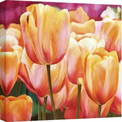 Wall art print and canvas. Luca Villa, Spring Tulips I