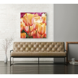 Wall art print and canvas. Luca Villa, Spring Tulips I