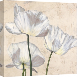 Cuadros de flores en canvas. Luca Villa, Amapolas en blanco II