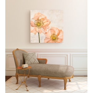 Tableau floral sur toile. Luca Villa, Coquelicots en rose I