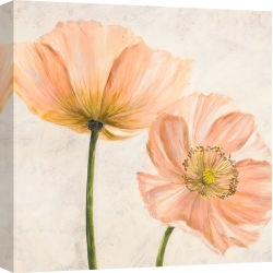 Wall art print and canvas. Luca Villa, Poppies in Pink II