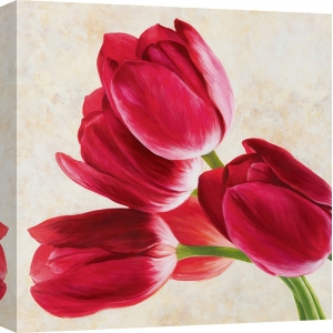 Cuadros de flores en canvas. Luca Villa, Tulip concerto (detalle)