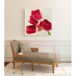 Wall art print and canvas. Luca Villa, Tulip concerto (detail)