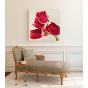 Tableau floral sur toile. Luca Villa, Tulip concerto (détail)