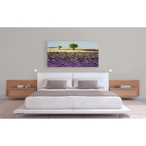 Wall art print and canvas. Krahmer, Lavender field and almond tree, Provence, France