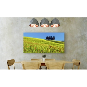 Quadro, stampa su tela. Frank Krahmer, Cipressi e campi di grano, Toscana, Italia