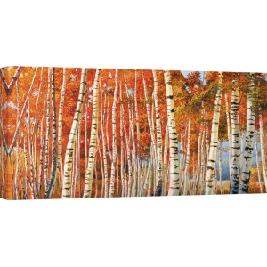 Leinwandbilder Wald und Natur. Adriano Galasso, Herbstbirken 