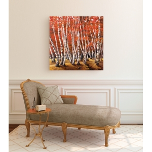 Wall art print and canvas. Adriano Galasso, Birch wood I
