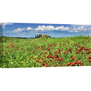 Tableau sur toile. Maison de campagne avec cyprès et coquelicots