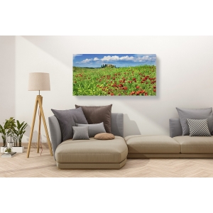 Tableau sur toile. Maison de campagne avec cyprès et coquelicots