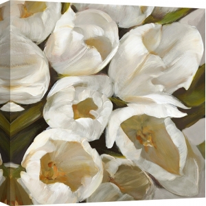 Cuadros tulipanes en canvas. Sanna, Blanco II