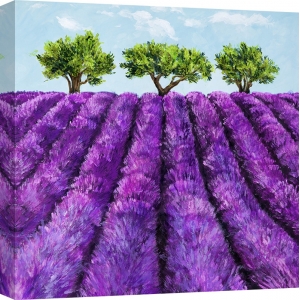 Leinwandbilder Landschaft. Massimo Germani, Reihen von Lavendel 