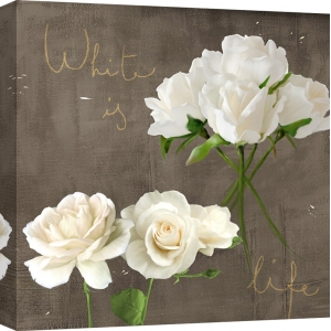 Wall art print and canvas. Teo Rizzardi, White Roses