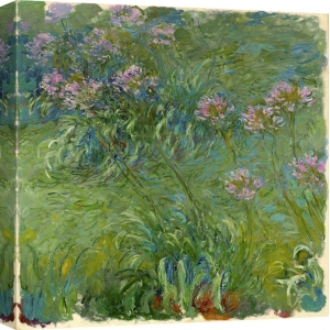 Quadro, stampa su tela. Claude Monet, Agapanthe