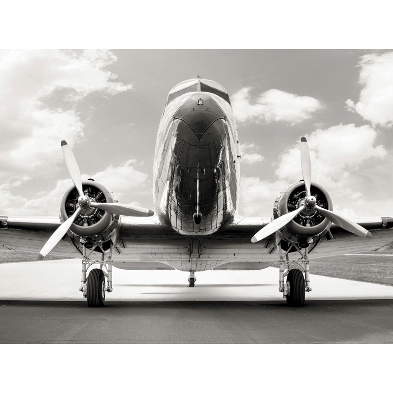 Cuadro, fotografía, en canvas. Anónimo, Avión vintage DC-3 en campo de aviación