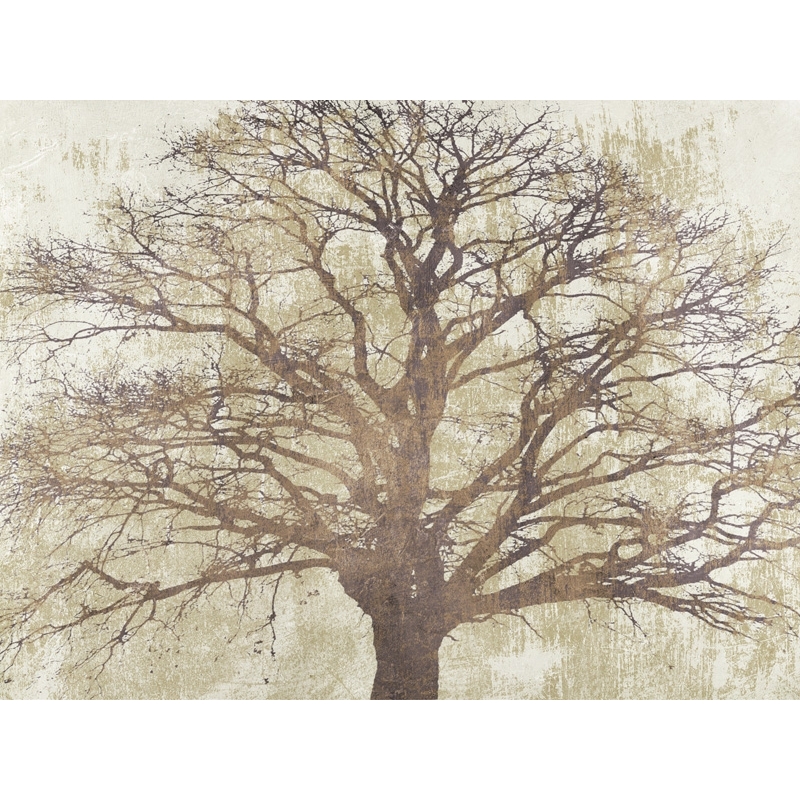 Cuadro árbol en canvas. Alessio Aprile, Sacred Oak