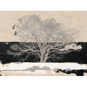 Wall art print and canvas. Alessio Aprile, Silver Tree
