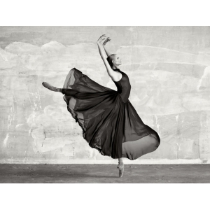 Quadro, stampa su tela. Haute Photo Collection, Ballerina Dancing
