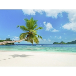 Quadro, stampa su tela. Spiaggia tropicale, Seychelles (dettaglio)