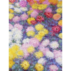 Tableau sur toile. Claude Monet, Chrysanthèmes