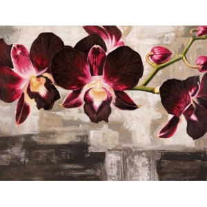 Leinwanddruck mit modernen Blumen. Shin Mills, Velvet Orchids