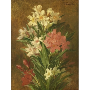 Cuadro en canvas. Chabal-Dussergey, Adelfa en flor roja y blanca