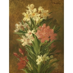 Quadro, stampa su tela. Pierre Adrien Chabal-Dussergey, Oleandro in fiore rosso e bianco