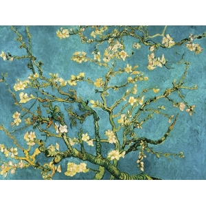 Tableau sur toile. Vincent van Gogh, Amandier en fleurs