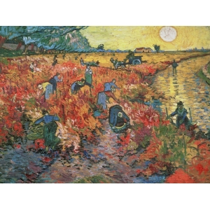 Quadro, stampa su tela. Vincent van Gogh, La vigna rossa ad Arles