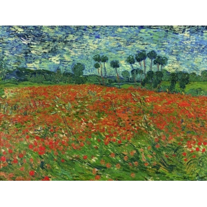 Leinwandbilder. Vincent van Gogh, Mohnfeld