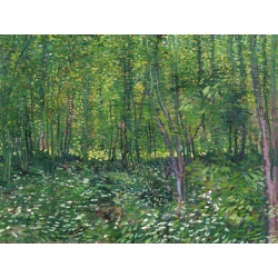 Wall art print and canvas. Vincent van Gogh, Trees and undergrowth