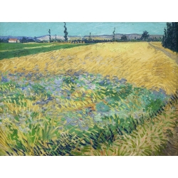 Tableau sur toile. Vincent van Gogh, Champ de blé
