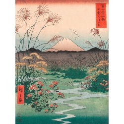 Quadro, stampa su tela. Ando Hiroshige, La Piana di Otsuki nella Provincia di Kai