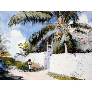 Cuadro en canvas. Winslow Homer, A Garden in Nassau