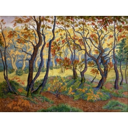 Wall art print and canvas. Paul Ranson, The Clearing