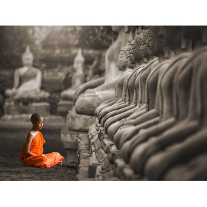 Cuadro en canvas, fotografía. Joven monje budista, Tailandia (BW)